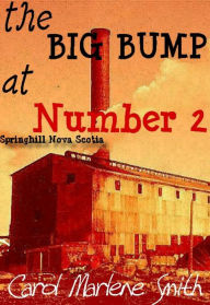 Title: the BIG BUMP at Number 2, Author: Carol Marlene Smith