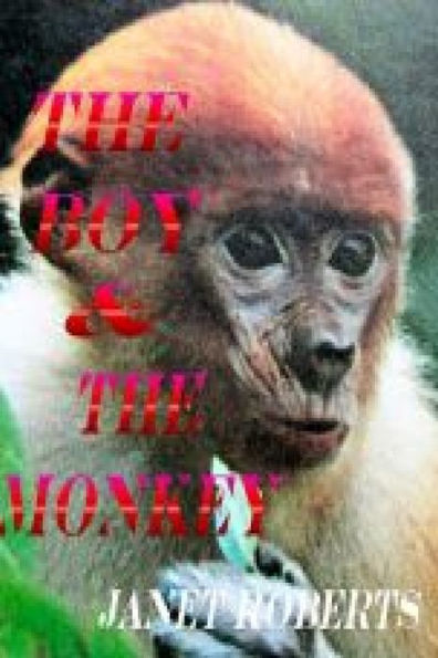 The Boy & The Monkey