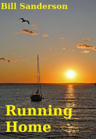 Title: Running Home, Author: Bill Sanderson