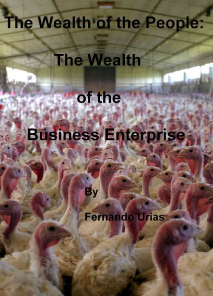 The Wealth of the People: The Wealth of the Business Enterprise