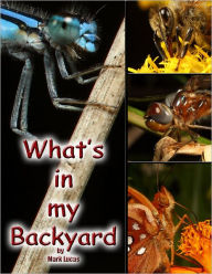 Title: What's in My Backyard?, Author: Mark Lucas