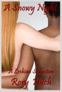 A Snowy Night: An Erotic Lesbian Seduction