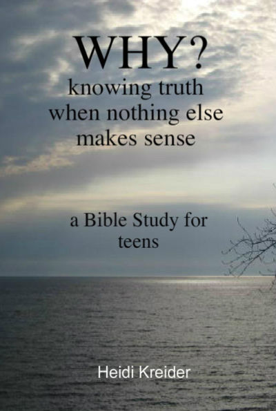 Why...a Bible Study for teens