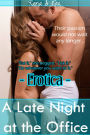 Erotica: A Late Night at the Office