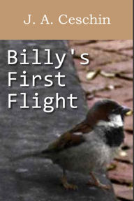 Title: Billy's First Flight, Author: J.A. Ceschin