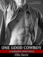 One Good Cowboy