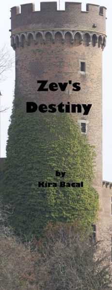 Zev's Destiny