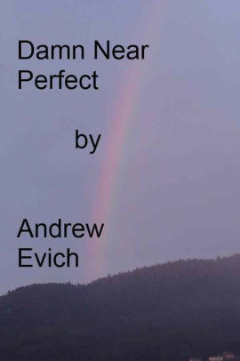 Damn Near Perfect By Andrew Evich Nook Book Ebook