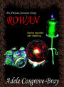 Rowan: An Artisan-Sorcerer Story