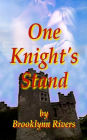 One Knight's Stand