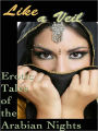 Like a Veil: Erotic Tales of the Arabian Nights
