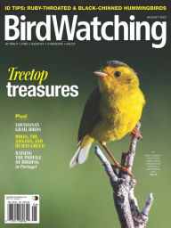 Title: BirdWatching, Author: Madavor Media