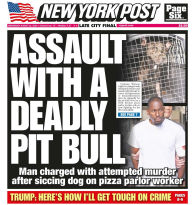 Title: New York Post, Author: NYP Holdings Inc.