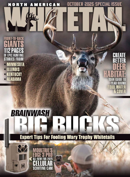 North American Whitetail