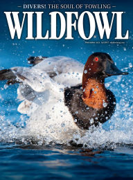 Title: Wildfowl, Author: InterMedia Outdoors