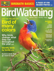 Title: Birdwatching - August 2012, Author: Madavor Media