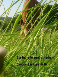 Title: Spring ein wenig höher!, Author: Sandra-Larissa Orth