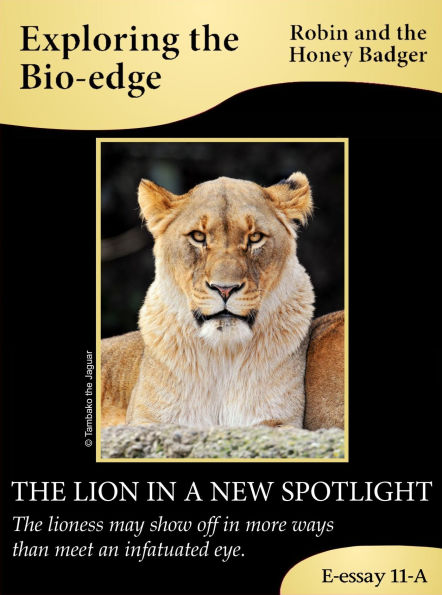 The Lion In A New Spotlight