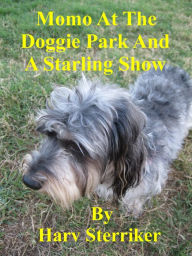 Title: Momo At The Doggie Park And A Starling Show, Author: Harv Sterriker