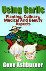 Using Garlic: Planting, Culinary, Medical And Beauty Aspects