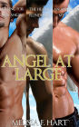 Angel at Large (Trilogy Bundle) (Erotic Romance - Fallen Angel Romance)