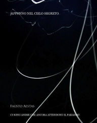 Title: Autunno nel cielo segreto, Author: Fausto Aestas