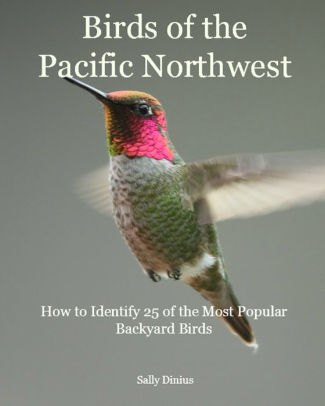 Birds Of The Pacific Northwest How To Identify 25 Of The Most