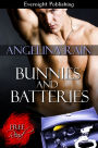 Bunnies and Batteries
