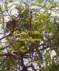 Title: Fixing Things, Author: Thabi Majabula