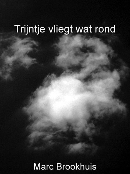 Trijntje vliegt wat rond (De avonturen van Trijntje, #3)