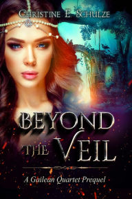 Title: Beyond the Veil, Author: Christine E. Schulze