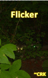 Title: Flicker, Author: ~CRK