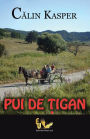 Pui de tigan