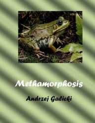 Title: Metamorphosis, Author: Andrzej Galicki