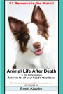 Animal Life after Death & Animal Reincarnation- Everything You Always wanted to Know! After-Death Do Animals Go to Heaven?