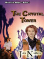 Mirrorsin Magick: Book 1 - The Crystal Tower