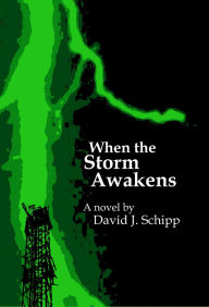 Title: When the Storm Awakens, Author: David Schipp