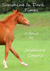 Title: Sunshine in Dark Times, Author: Joseanne Capelo