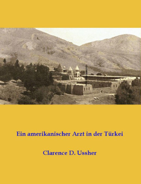 Ein amerikanischer Arzt in der Türkei