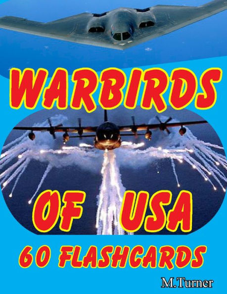 Warbirds of USA 60 Flashcards