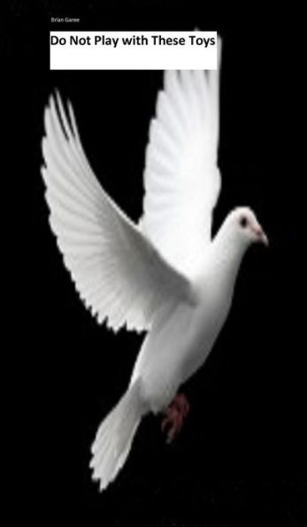 Do Not Play With These Toys