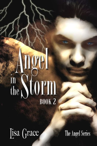 Angel in the Storm, Book 2 by Lisa Grace (Angel Series)