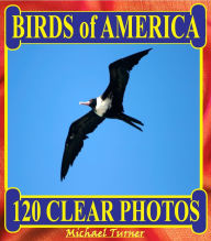 Title: Birds of America. 120 Clear Photos., Author: Michael Turner