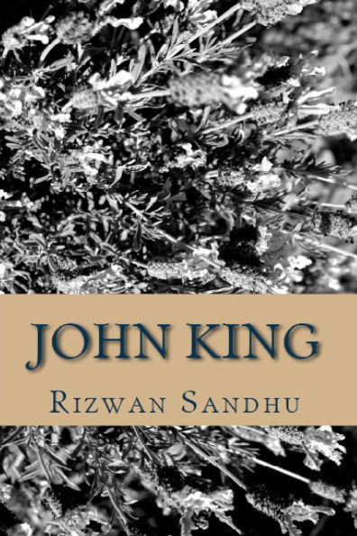 John King (The Hitman, #1)