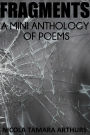 Fragments: A Mini Anthology of Poems