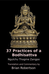 Title: 37 Practices of a Bodhisattva: The Way of an Awakening Being, Author: Brian Robertson