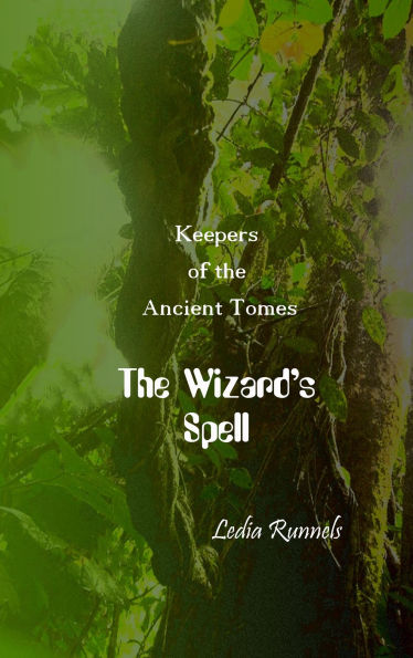 The Wizard's Spell (Keepers of the Ancient Tomes, #1)