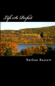 Title: Life So Perfect, Author: Nathan Bassett