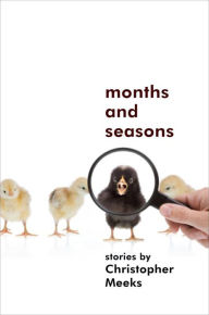 Title: Months and Seasons, Author: Christopher Meeks