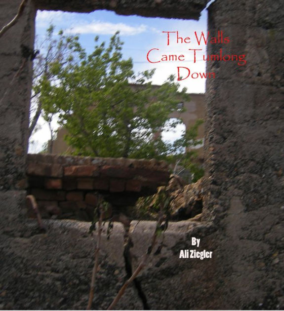 The Walls Came Tumbling Down by Ali Ziegler | eBook | Barnes & Noble®